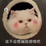 發！