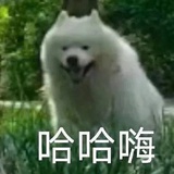 巴啦啦