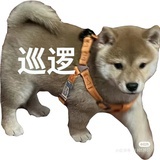狗头聚聚