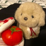 椰椰芒芒
