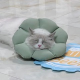 芋圆
