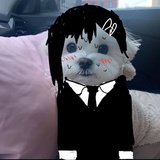 合猫