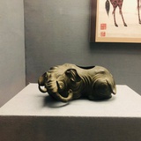 三伏天