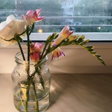 花花
