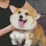 豆腐丝ei