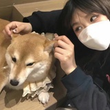 亦Z
