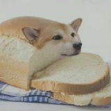 哈吉嘛