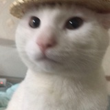 解构亿滴水