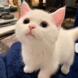 冬至
