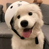地下铁