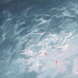 明月不归沉碧海