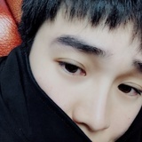 春来发几枝