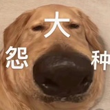 撒浪嘿呦