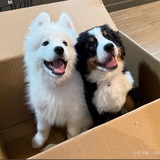 Puppyyummy