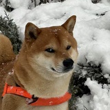 忘川