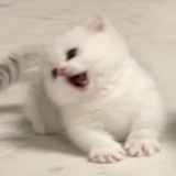 管好你自己吧