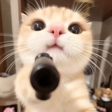 管好你自己吧