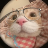 外卖骑手小熊