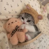 数秒