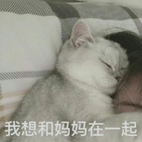 甜品店的交界