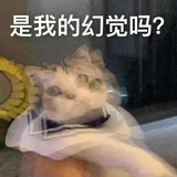 丢儿
