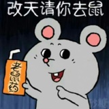 脸大如盆栽