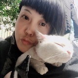 小白白