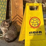 已注销