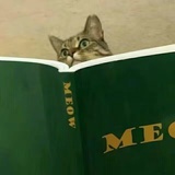 _lynx.