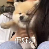 暂无用药指征