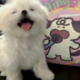 数不尽的明天