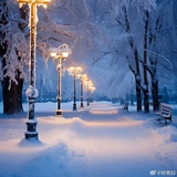 若雪听风