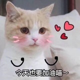 吉大口腔硕士