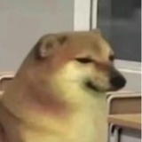 雪豹大人