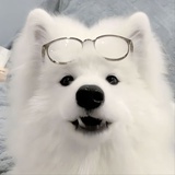 阿驼木