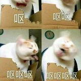 豆友186663493