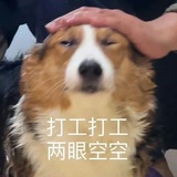 我在外面吃饭呢
