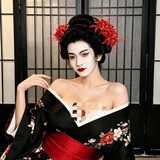 Chen蠢会