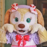 Cookie