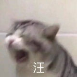 无情蛋炒饭
