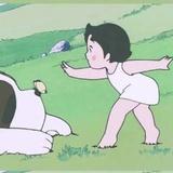 夏令营岛...