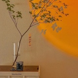 养猫（躺尸版）