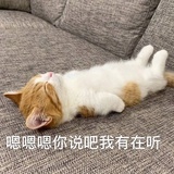 已注销