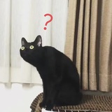 末日与星星逃亡