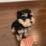 工作日晚上10点