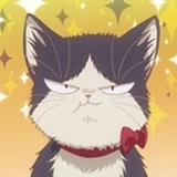Hoptercat