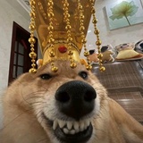 深圳主任