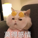 爱琴海救生员