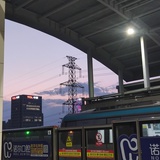 球球