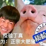 美国老猪刘精飞